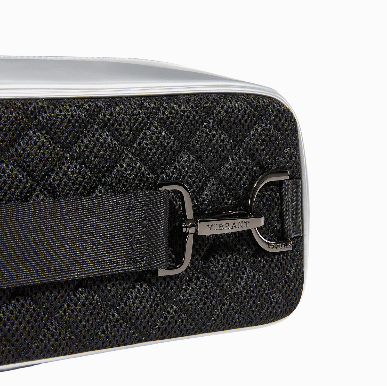 Lizard Holographic Series Cue Case 3B4S