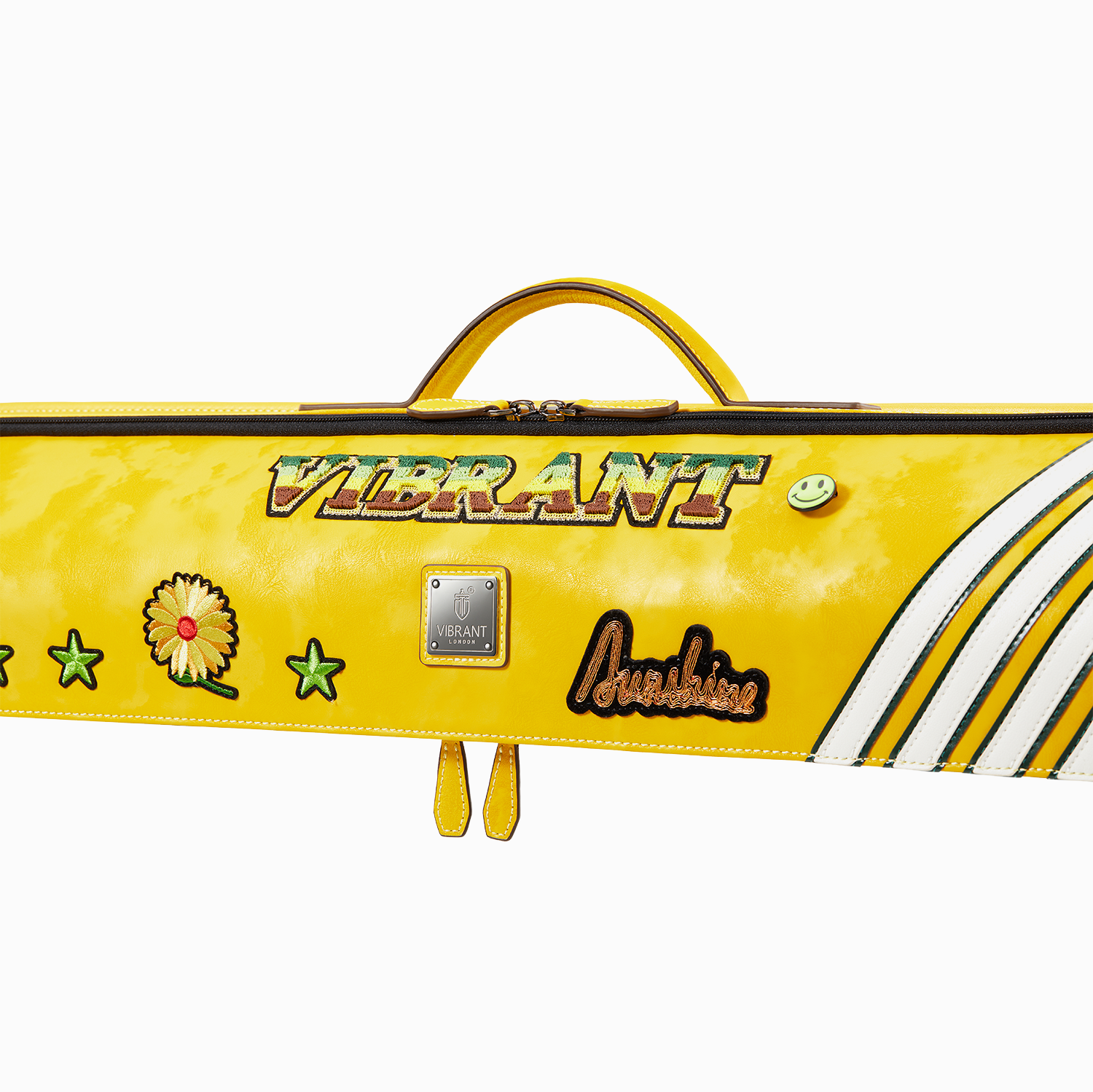 Lizard Cue case Rainbow Series