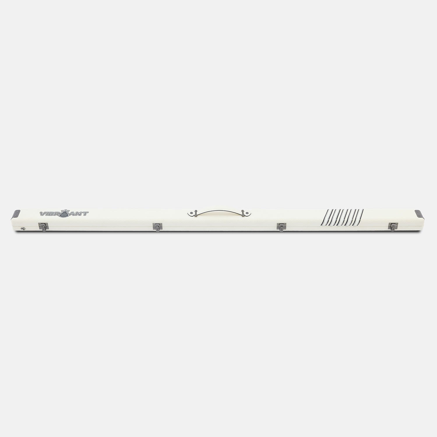 Lizard Meteor Shower Snooker Cue Case 2 Slots