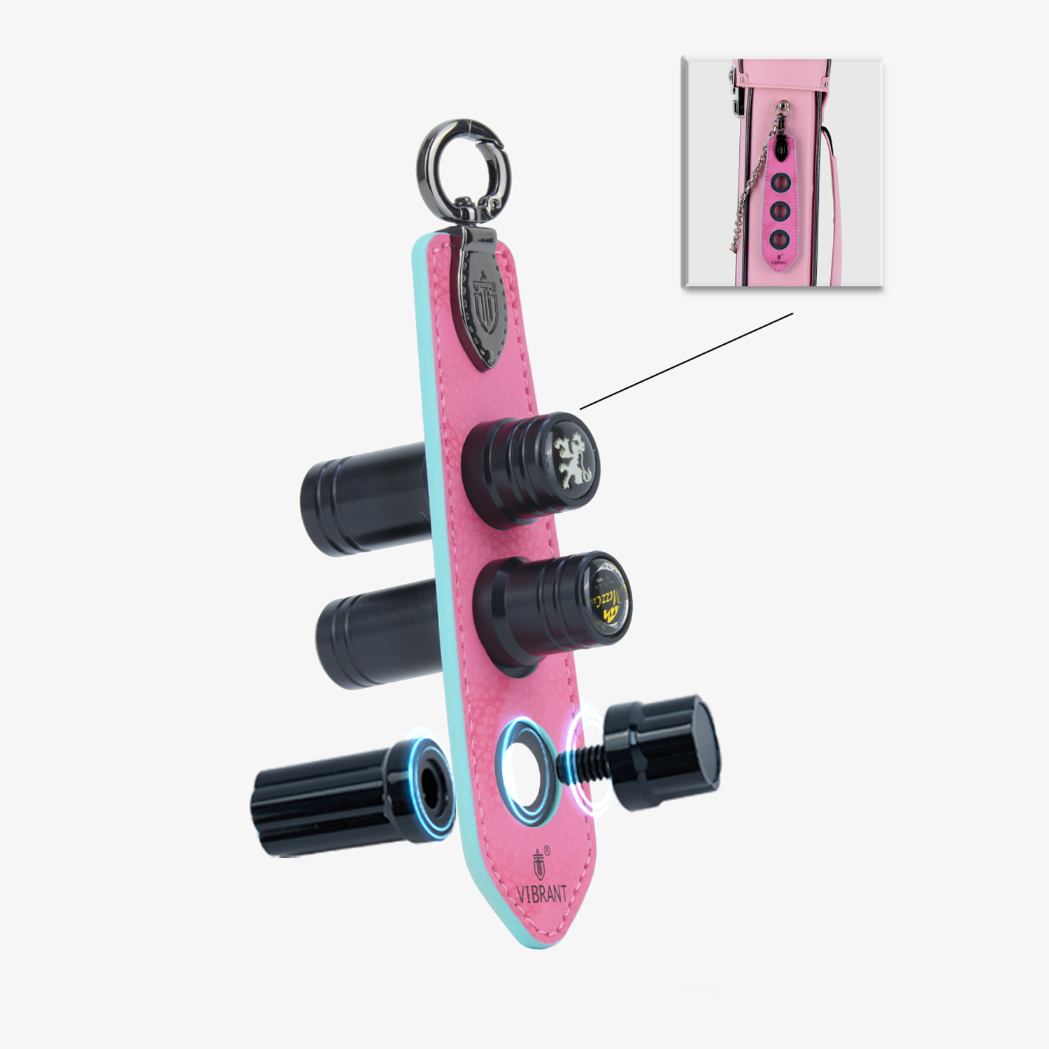 Lizard Rainbow Series Billiard Accessory Kit