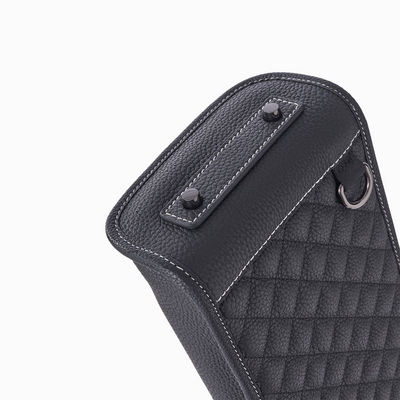Lizard Earl Series Cue Case 3B4S