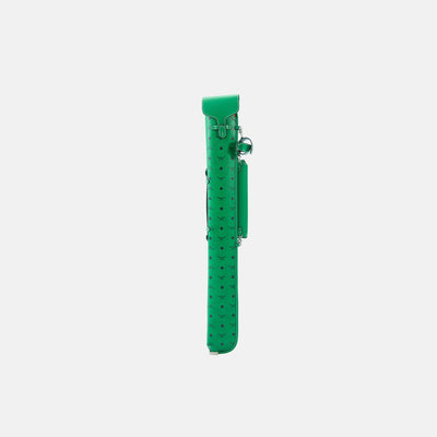 Lizard Knife Series Cue Case 1B2S