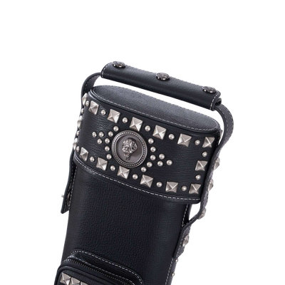Lizard Aegis Tube Series Cue Case 2B4S