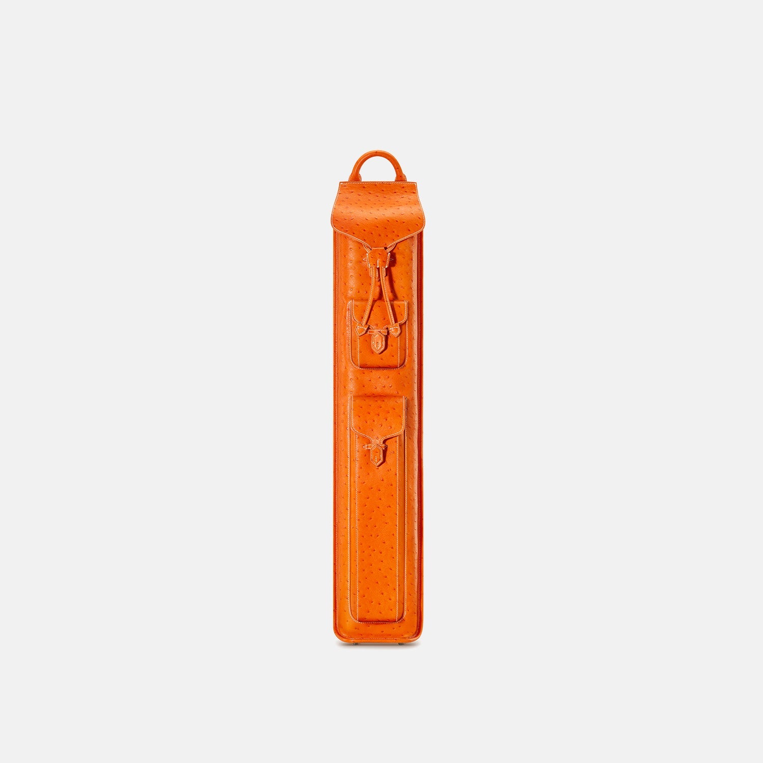 Lizard Earl Series Cue Case 3B4S
