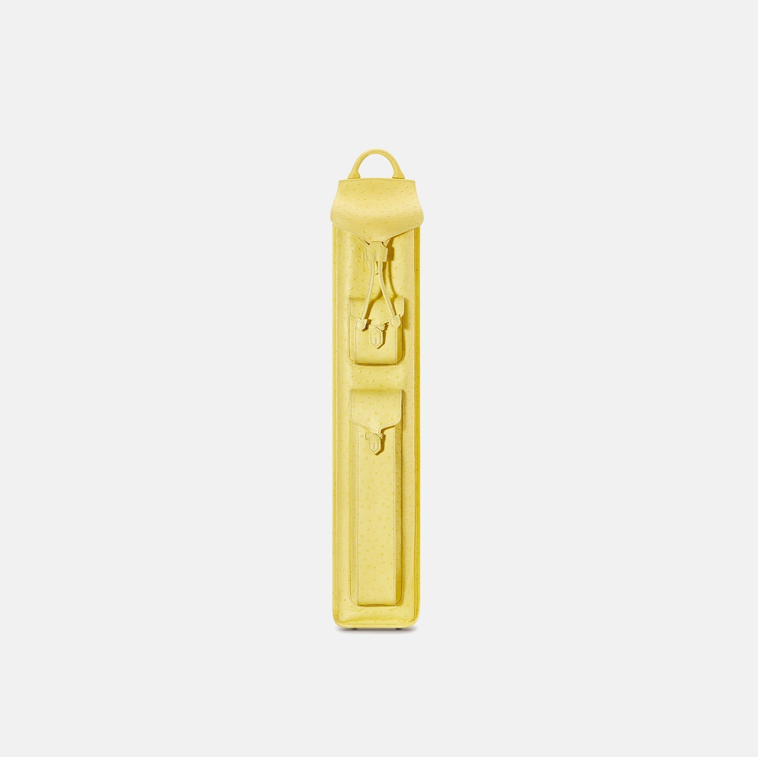 Lizard Earl Series Cue Case 3B4S